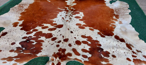 پوست گاو دباغی شده