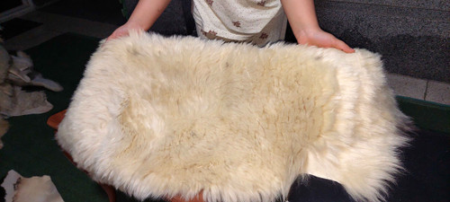 پوست گوسفند
